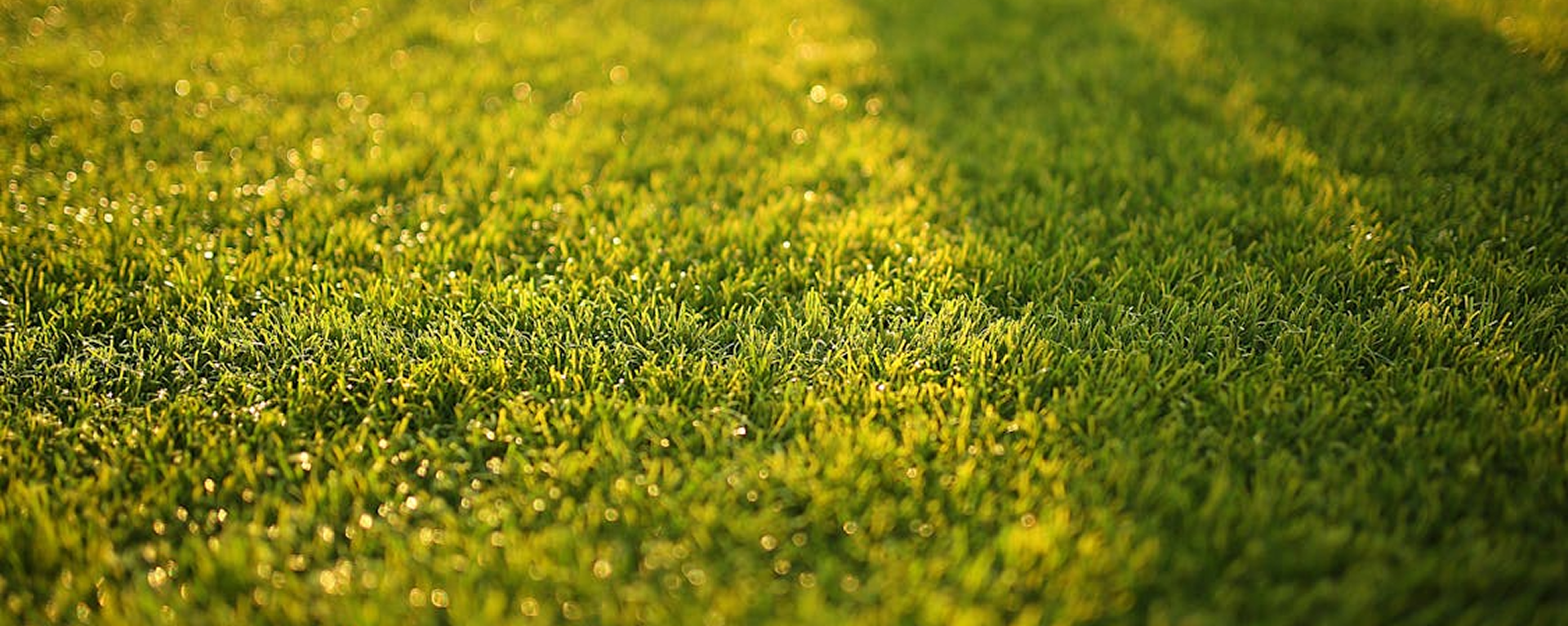 Über uns Banner